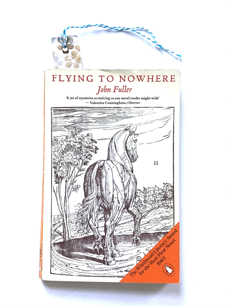 Flying to Nowhere by John Fuller