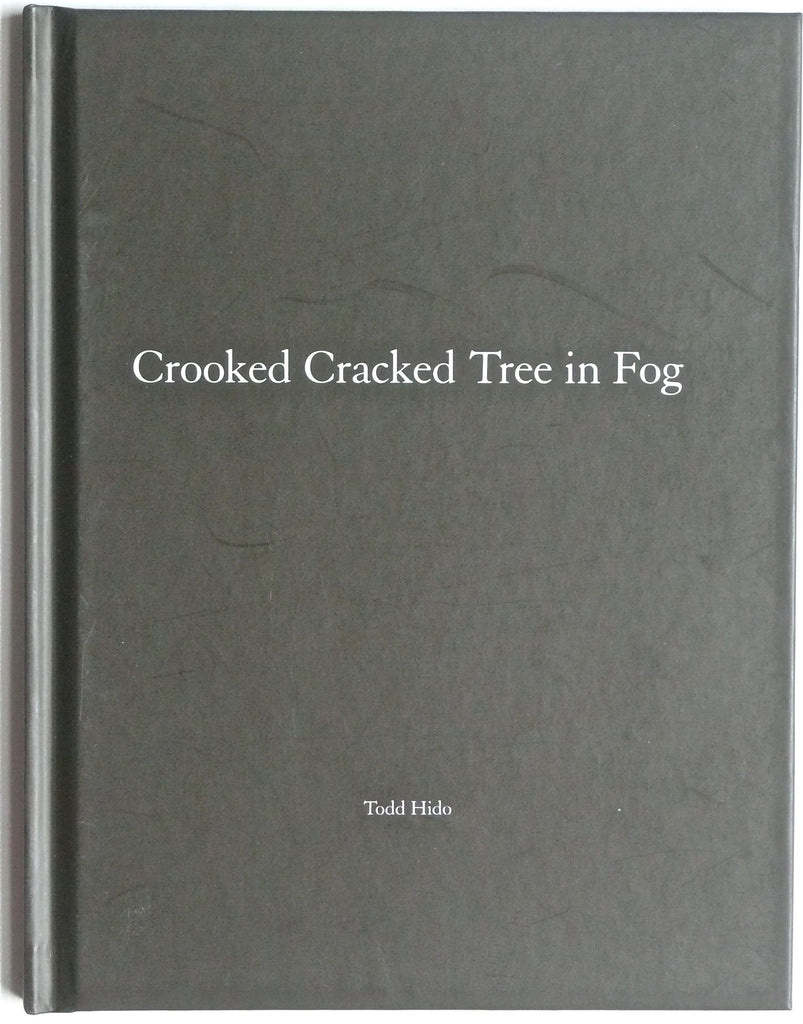 Crooked Cracked Tree in Fog by Todd Hido Nazraeli