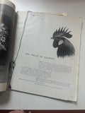 Harper's Bazaar February 1936