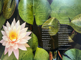City of Angels: Houses and Gardens of Los Angeles