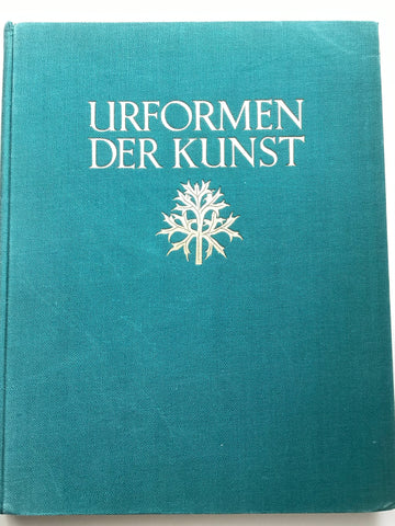 Urformen der Kunst by Karl Blossfeldt
