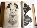 Peterson's Magazine 1861