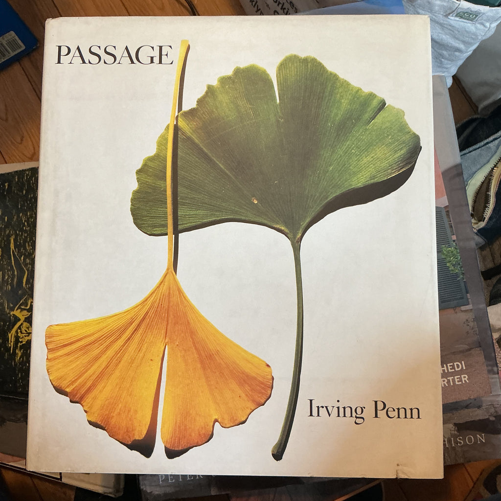 Passage by Irving Penn