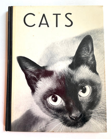 the best cat book