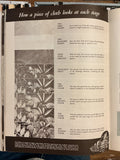 American Fabrics Number Eighteen Summer 1951