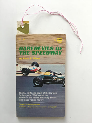 Daredevils of the Speedway