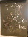 Waldbilder by Hermann Vogel