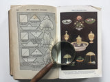 Mrs Beeton's All-About Cookery