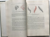 Bizarre Designs in Silks  - Trade & Traditions