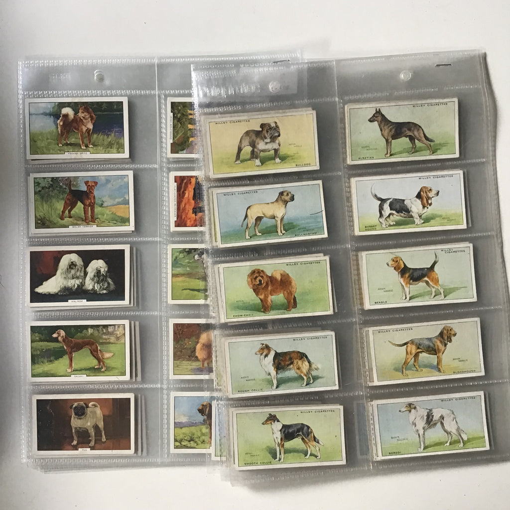 48 cigarette cards...Dogs