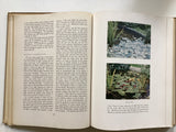 An Introduction to Color