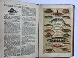 Mrs Beeton's Cookery Book