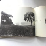 Frederick Law Olmsted's New York