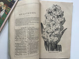 B. K. Bliss & Sons' Autumn Catalogue and Floral Guide 1874-5