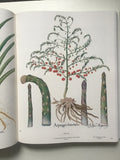 The Besler Florilegium