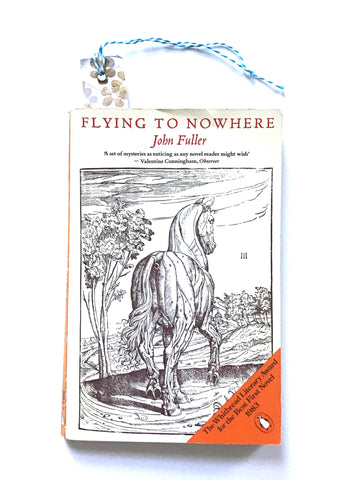 Flying to Nowhere by John Fuller
