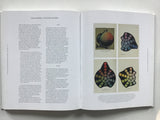 The Anatomy of Color