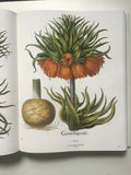 The Besler Florilegium