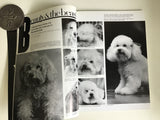 Dogue (Vogue parody)
