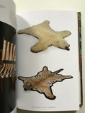 Taxidermy
