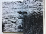 Eyelids of the Morning by Peter Beard