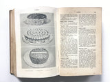 Mrs Beeton's All-About Cookery