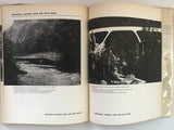 The Architecture of Bridges