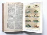 Mrs Beeton's Cookery Book