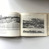 Frederick Law Olmsted's New York