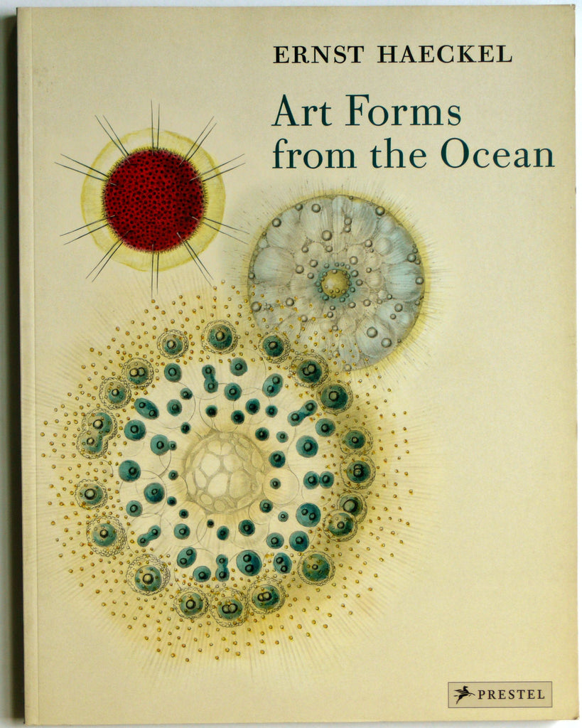 Ernest Haeckel: Art Forms From the Ocean
