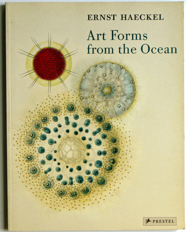 Ernest Haeckel: Art Forms From the Ocean