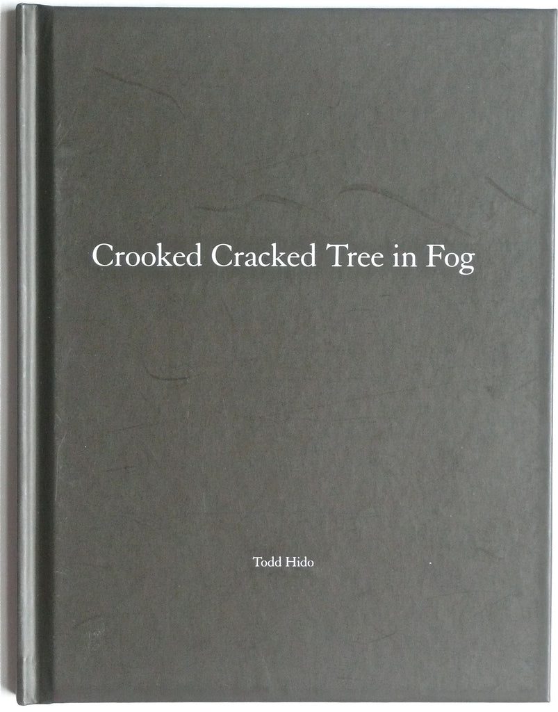 Crooked Cracked Tree in Fog by Todd Hido Nazraeli