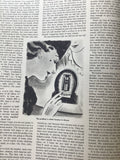 The New York Woman January 13, 1937