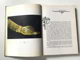 L'Objet 1900