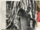 Harper's Bazaar May 1964